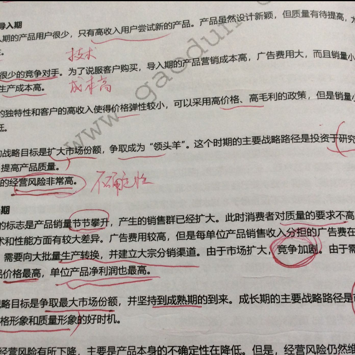 公司战略