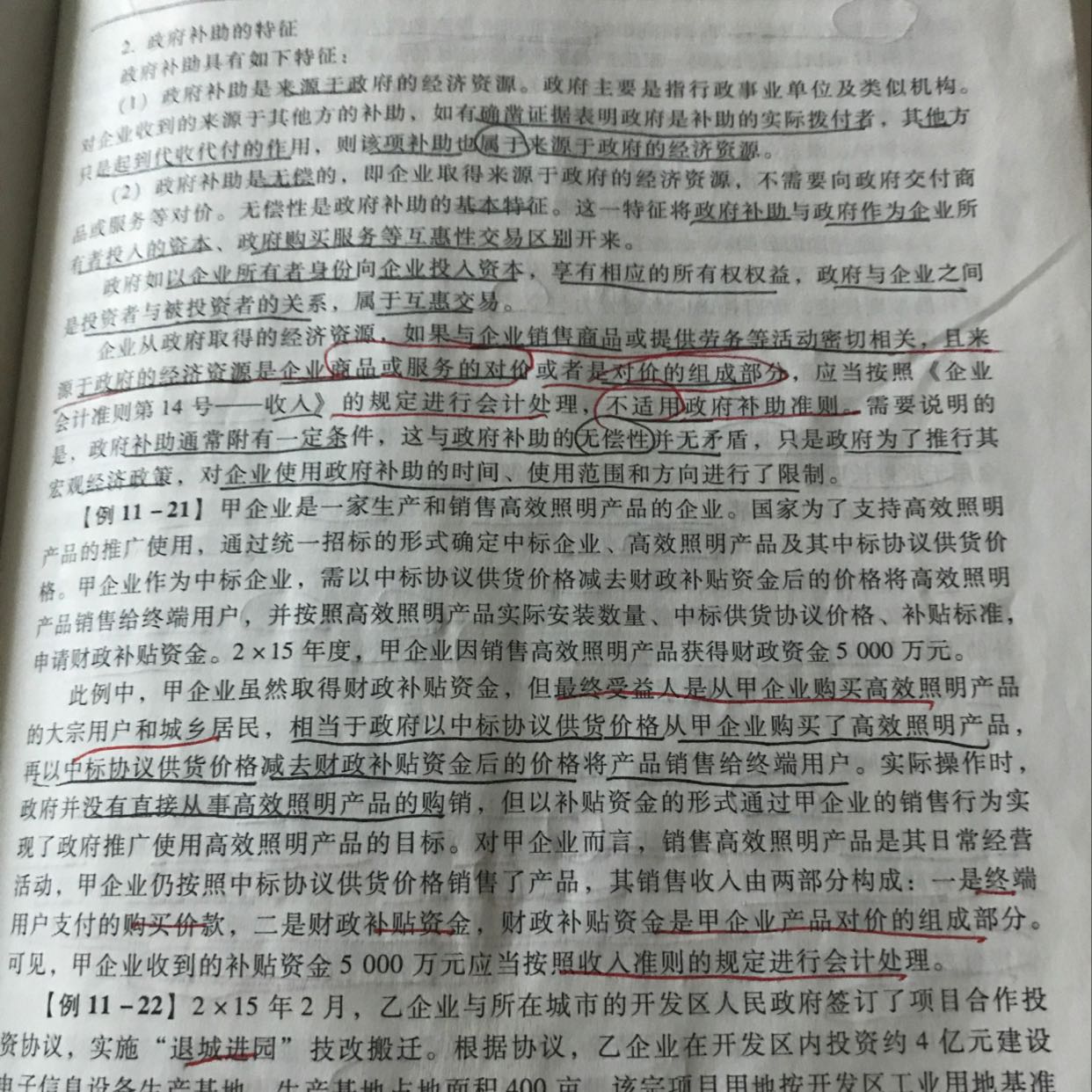 政府补助形成资产