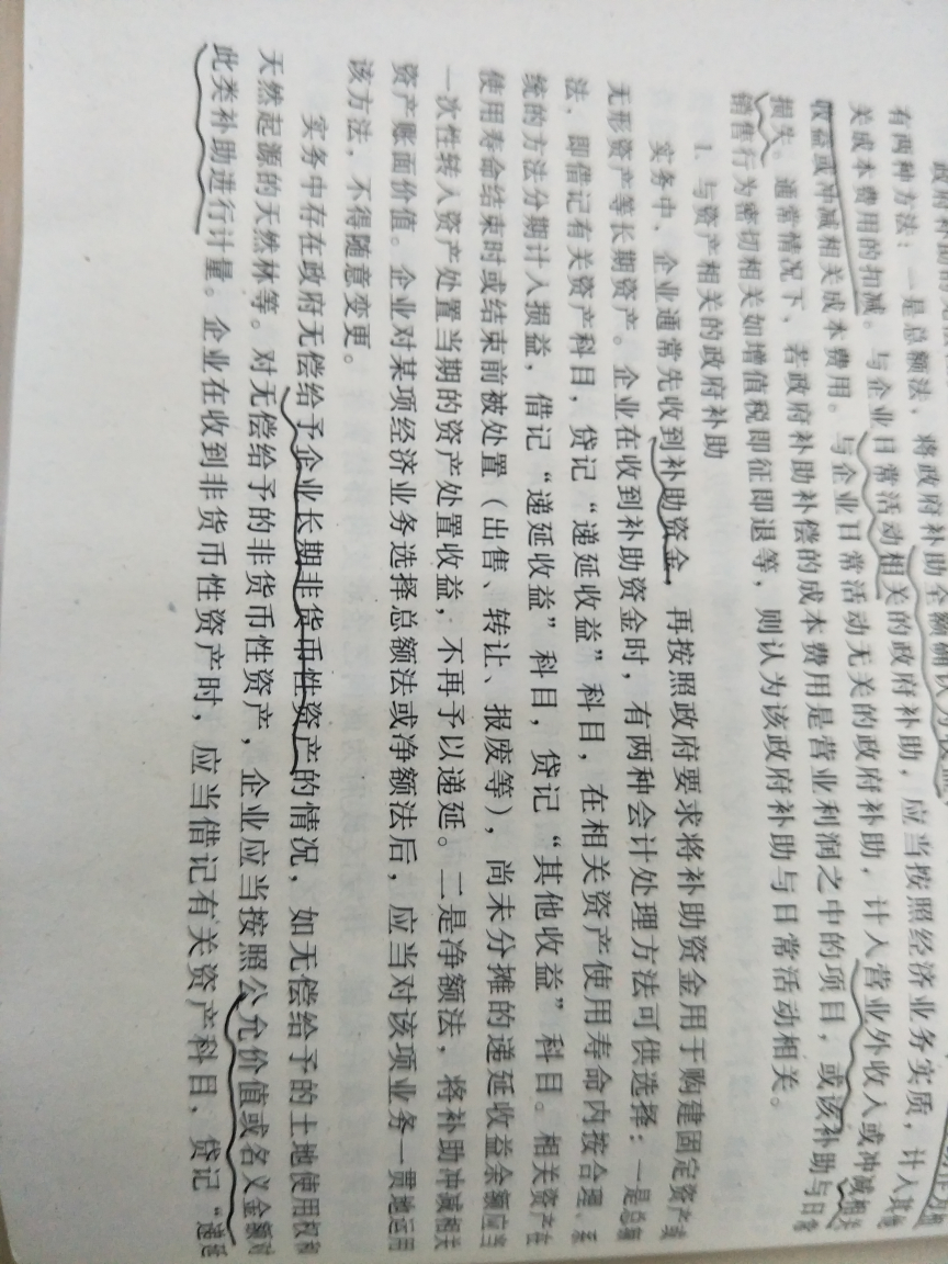 与资产相关的政府补助